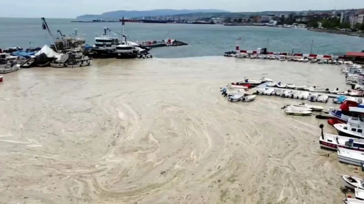 Meclis'ten Marmara'daki müsilaj için ''komisyon'' adımı