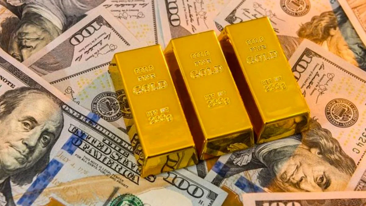 Merkez Bankası'nın resmi rezerv varlıklarındaki artış sürüyor