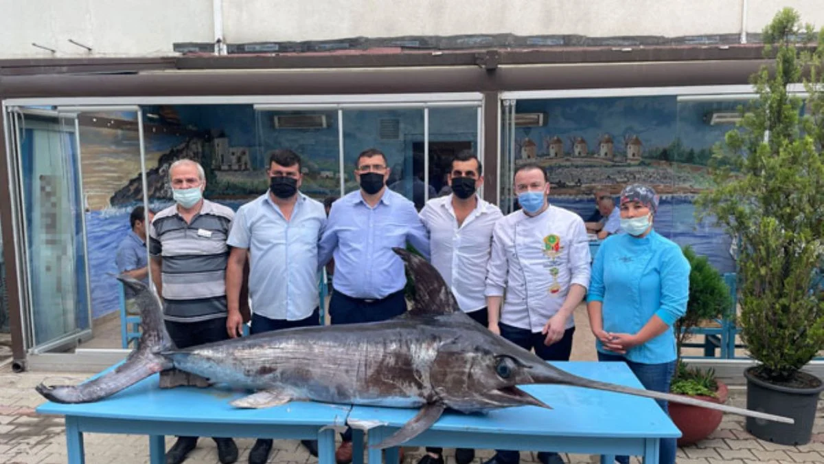 Saros Körfezi'nde yakalandı, gören fotoğraf çektirdi
