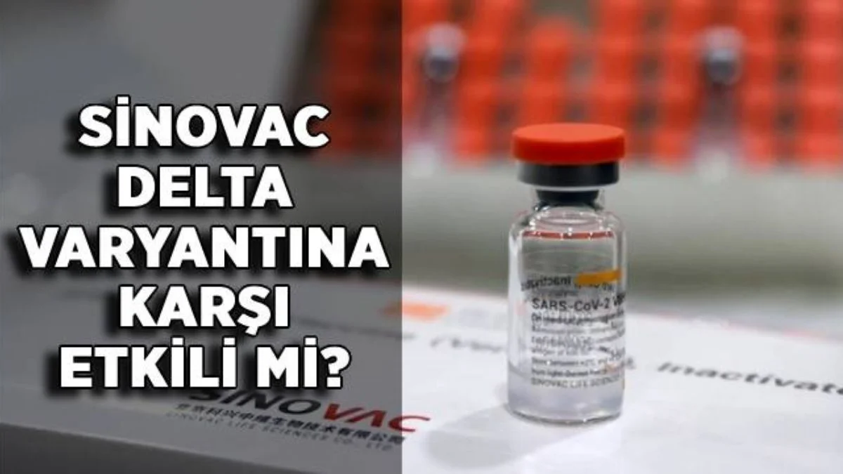 Sinovac Delta varyantına karşı etkili mi? Çin aşısı Sinovac delta mutasyonuna karşı korur mu?