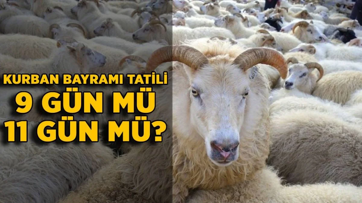2021 kurban bayramı tatili 11 gün mü 9 gün mü? Kurban bayramı tatili ne zaman başlayacak?