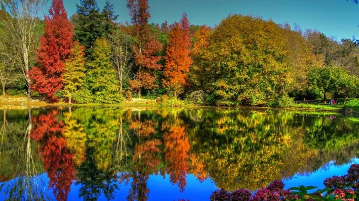 Atatürk Arboretumu giriş yasak mı? Atatürk Arboretumu ziyaretçilere açık mı?