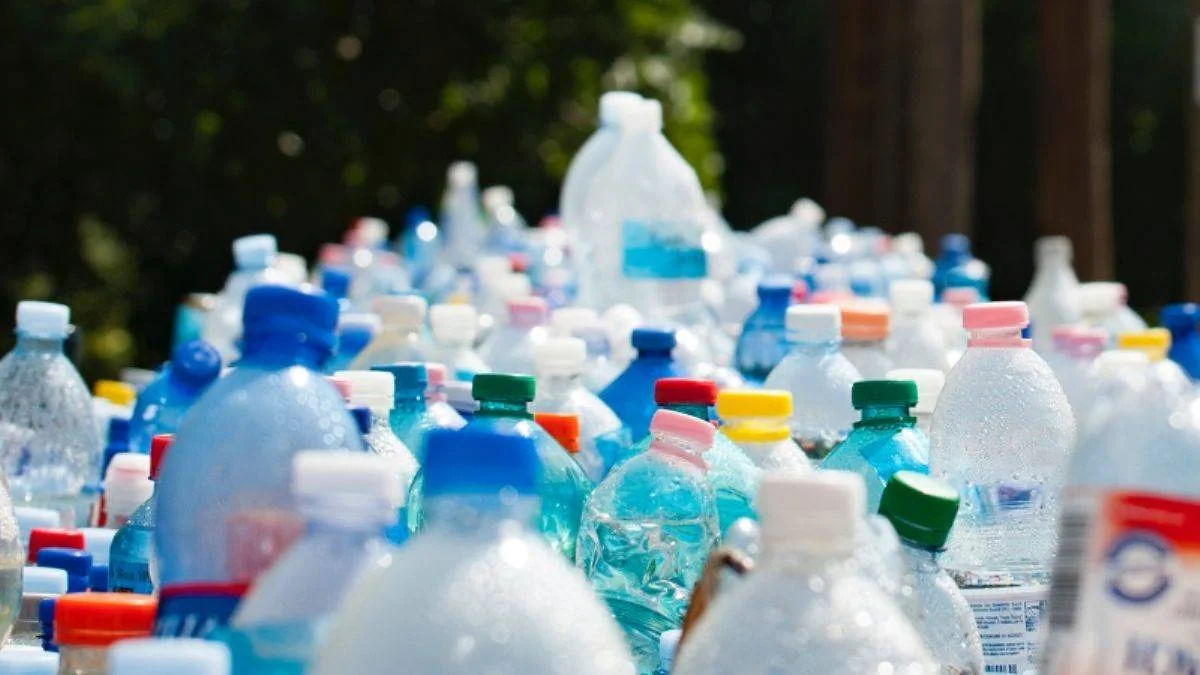 'Avrupa Türkiye'nin 3 katı plastik atık ithal ediyor'