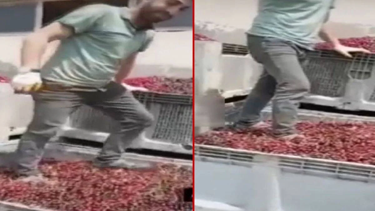 Ayakkabı ile vişne çiğneme skandalında 4 kişi serbest