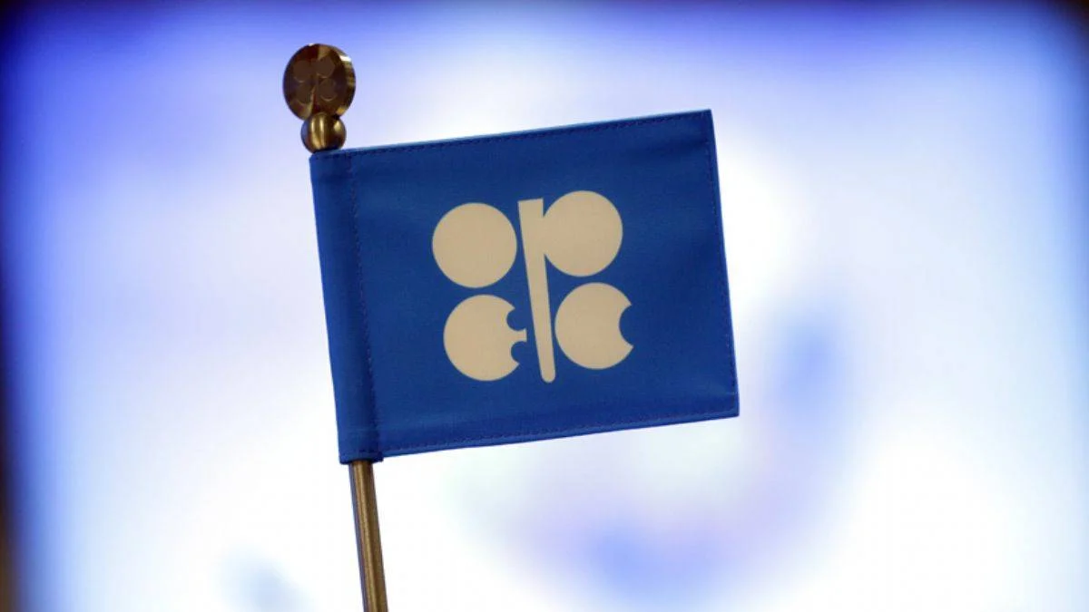 BAE: OPEC+ grubunun kararlarına bağlıyız