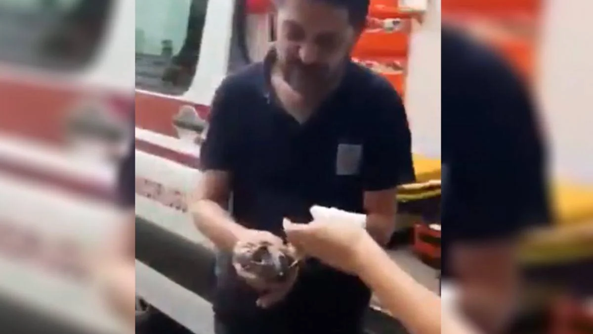 Bakan Koca'dan yaralı kuşa müdahale eden 112 ekibine teşekkür
