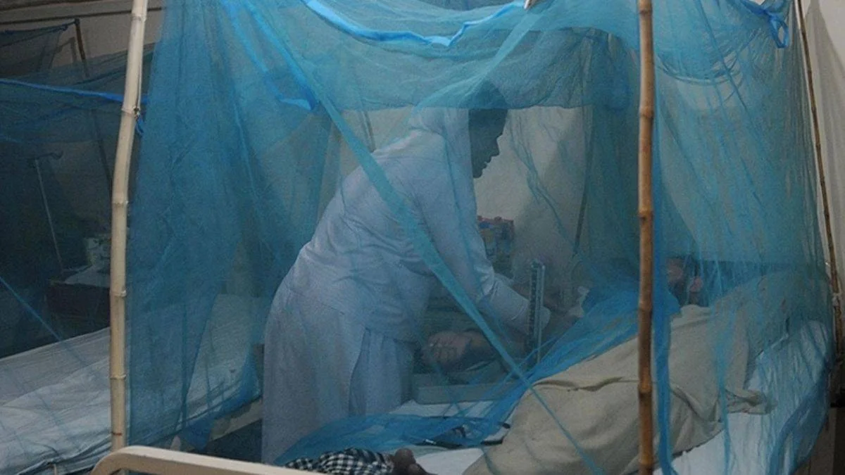 Bangladeş'te dang humması vakalarında artış