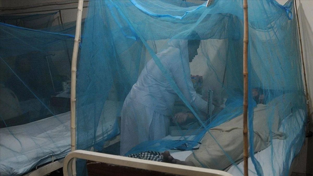 Bangladeş'te son 13 dang humması vakası tespit edildi
