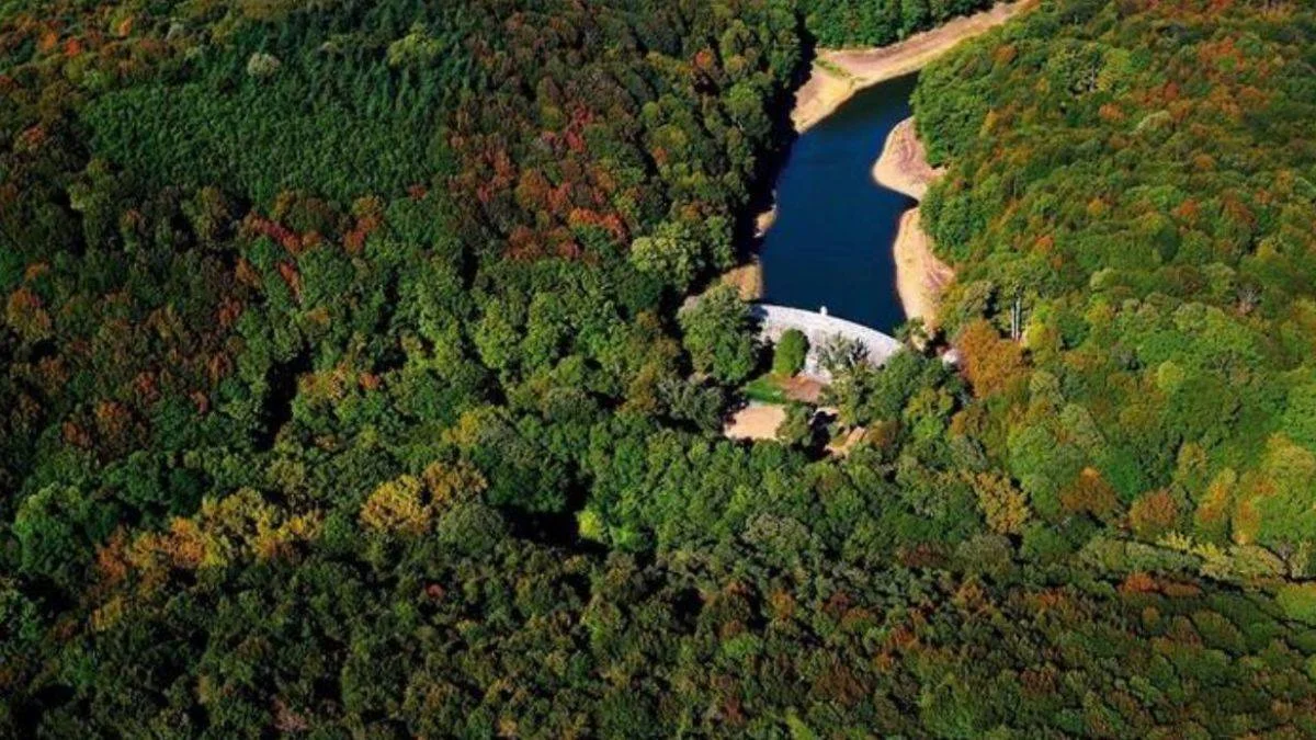 Belgrad Ormanı'na giriş yasak mı? Belgrad Ormanı'nda piknik ve mangal yasak mı?