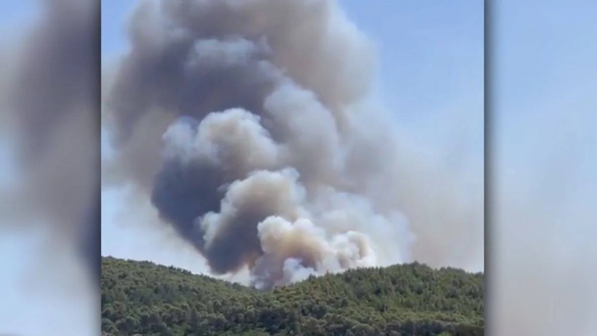 Bodrum'da yangın çıktı