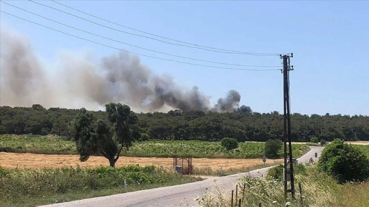 Bozcaada'da ormanlık alanda çıkan yangına müdahale ediliyor