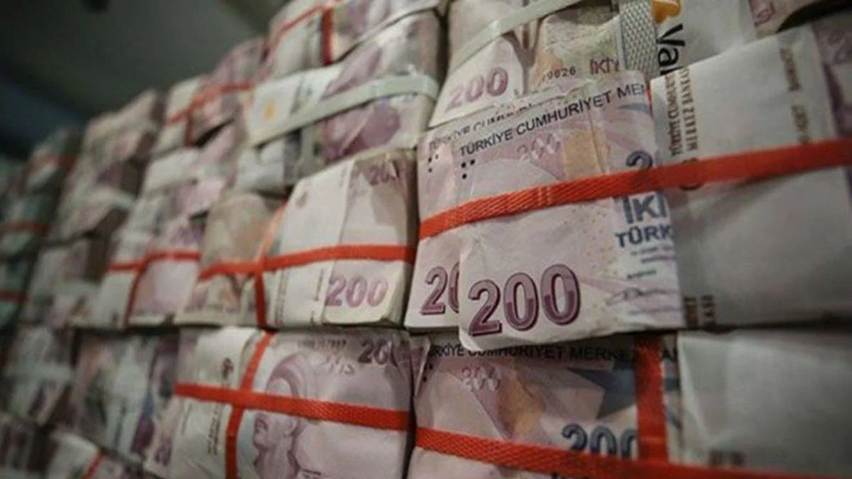'Bütçede harcamalar ve vergi gelirlerinde artış etkisi'