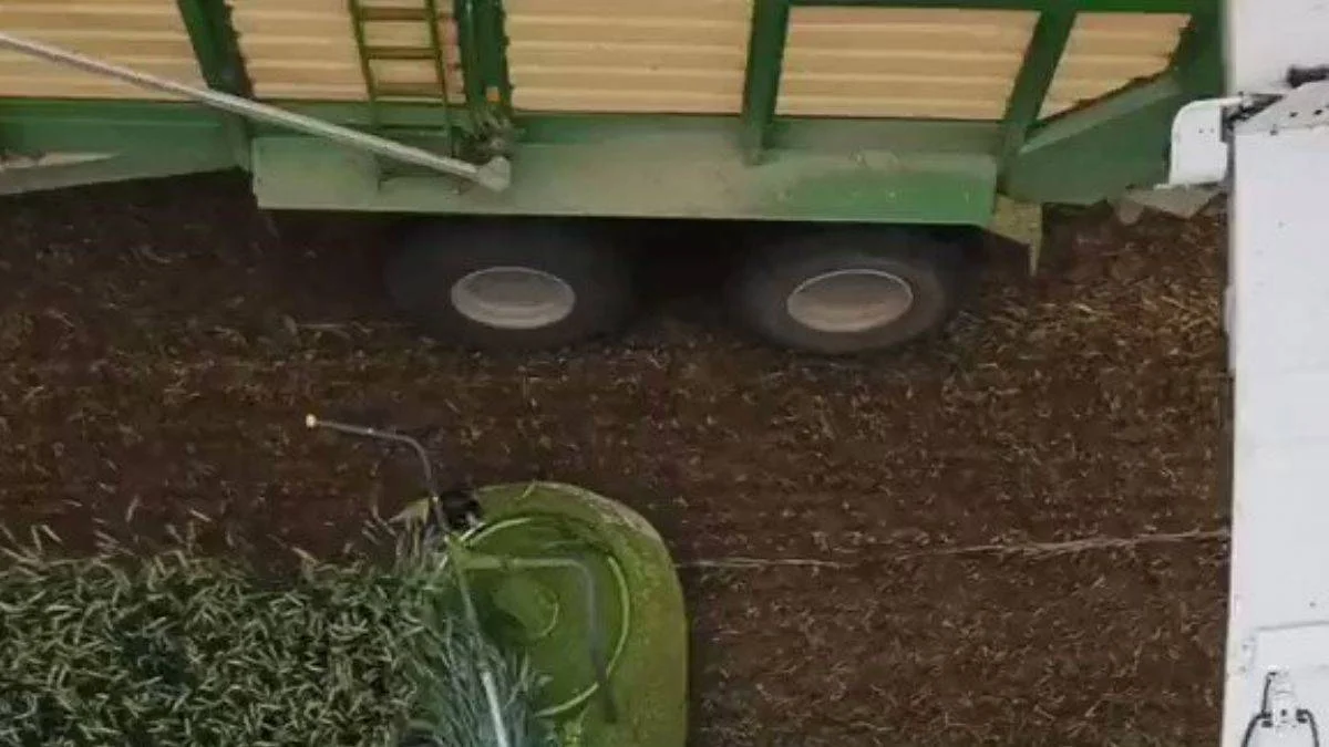 Çiftçilerin işini kolaylaştıran biçer döver