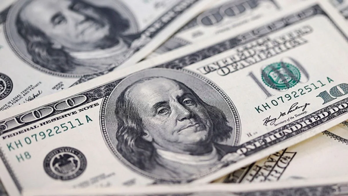 Cüneyt Paksoy'dan dolar kuru çıkışı