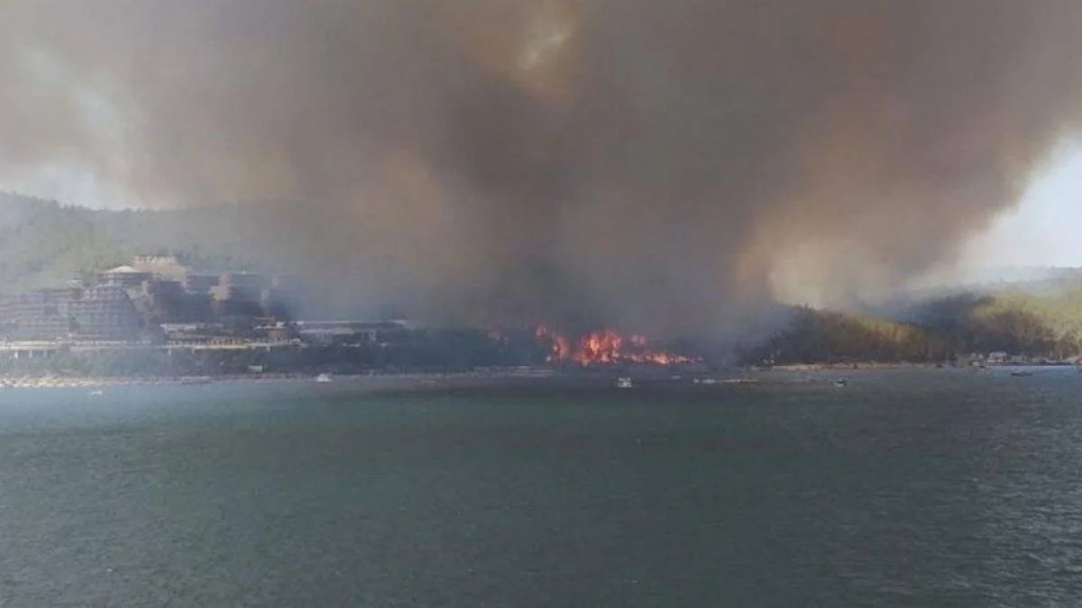 Didim'deki yangınla ilgili 3 kişi gözaltına alındı