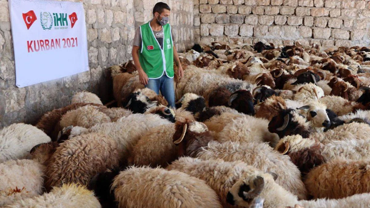 İHH'nin kurban yardımları, dünyada yaklaşık 2,5 milyon kişiye ulaştı