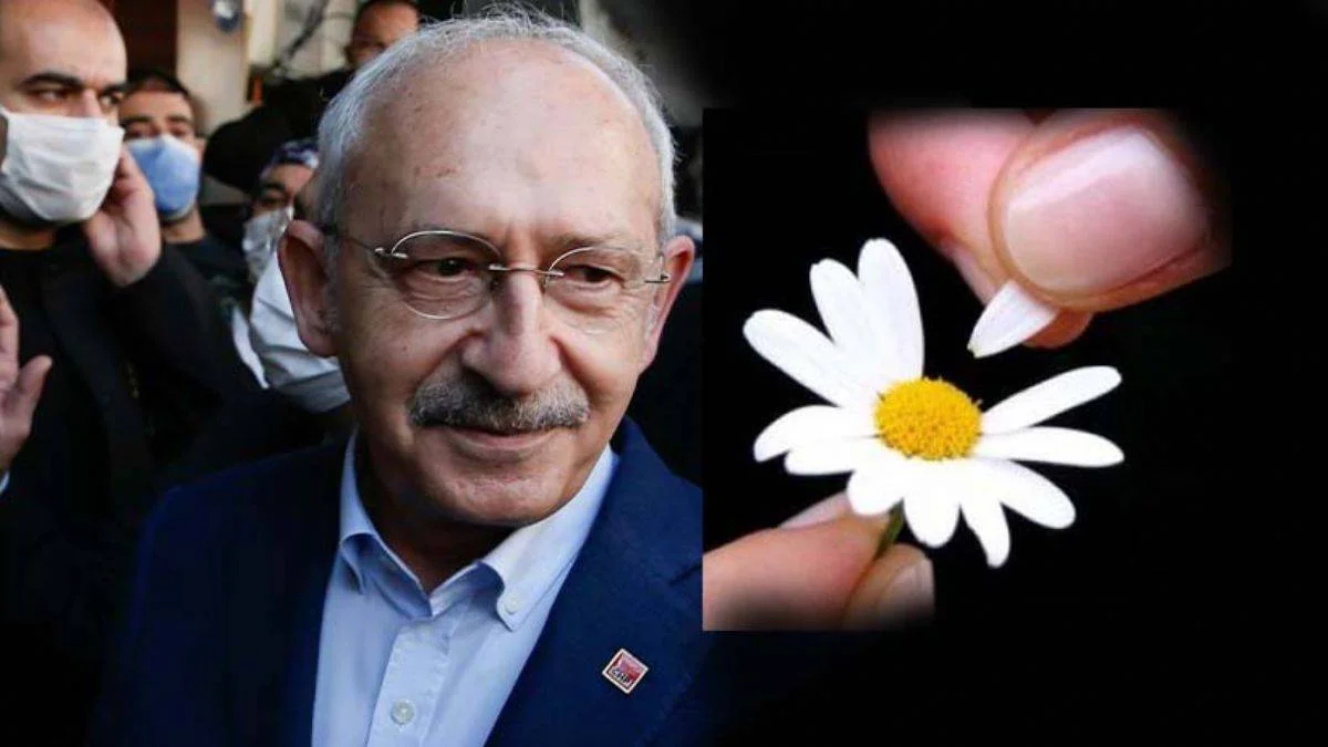 "Kılıçdaroğlu'nun adaylığı papatya falı gibi"