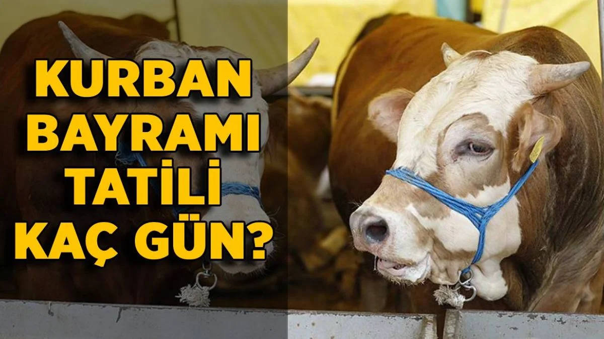 Kurban bayramı tatili kaç gün? Kurban bayramında kaç gün tatil yapılacak?