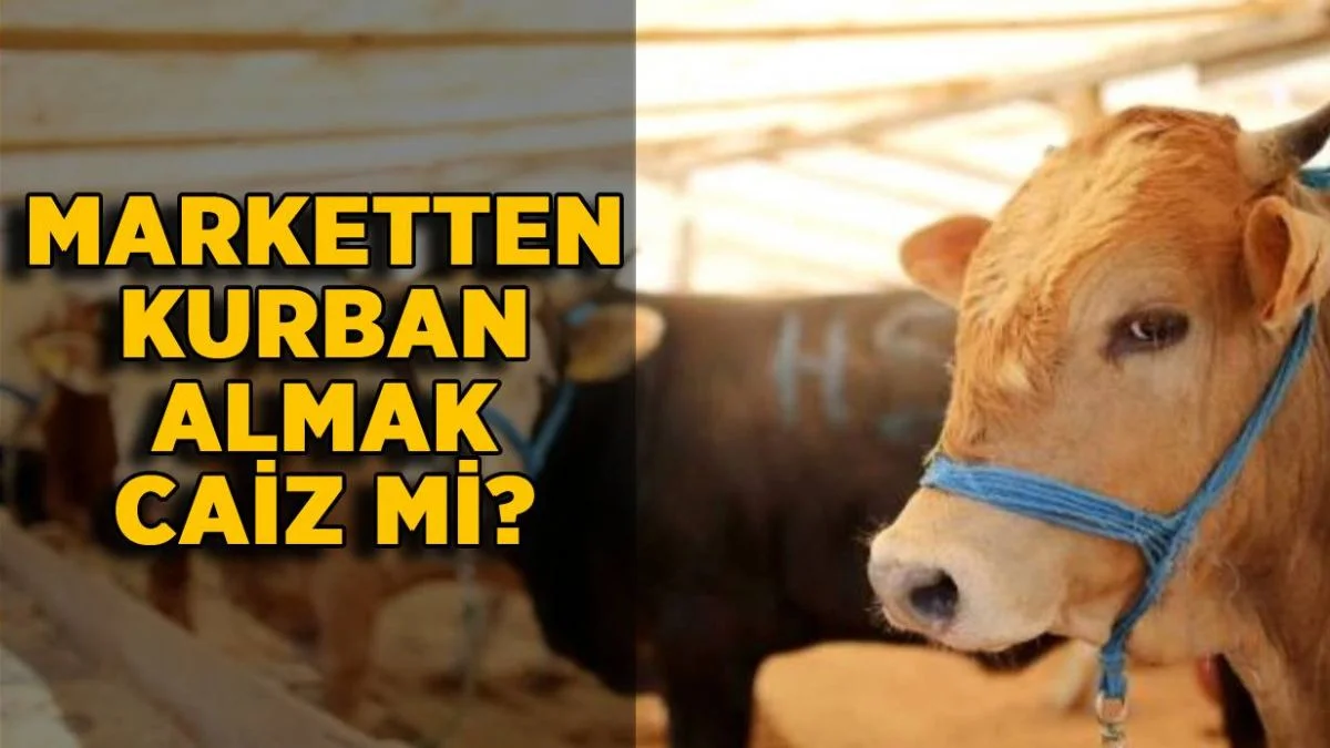 Marketten kurban almak caiz mi? Marketlerden kurban hissesi alınır mı?