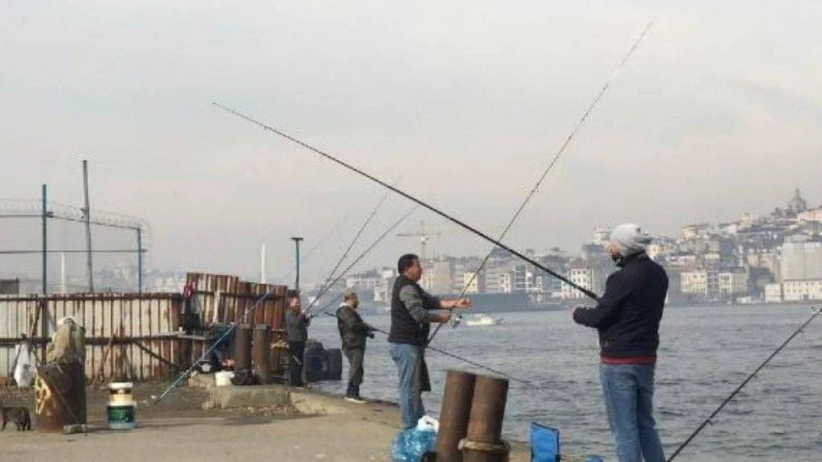 Marmara'da balık avı yasaklanacak mı? Marmara Denizi'nde balık tutmak yasak mı?