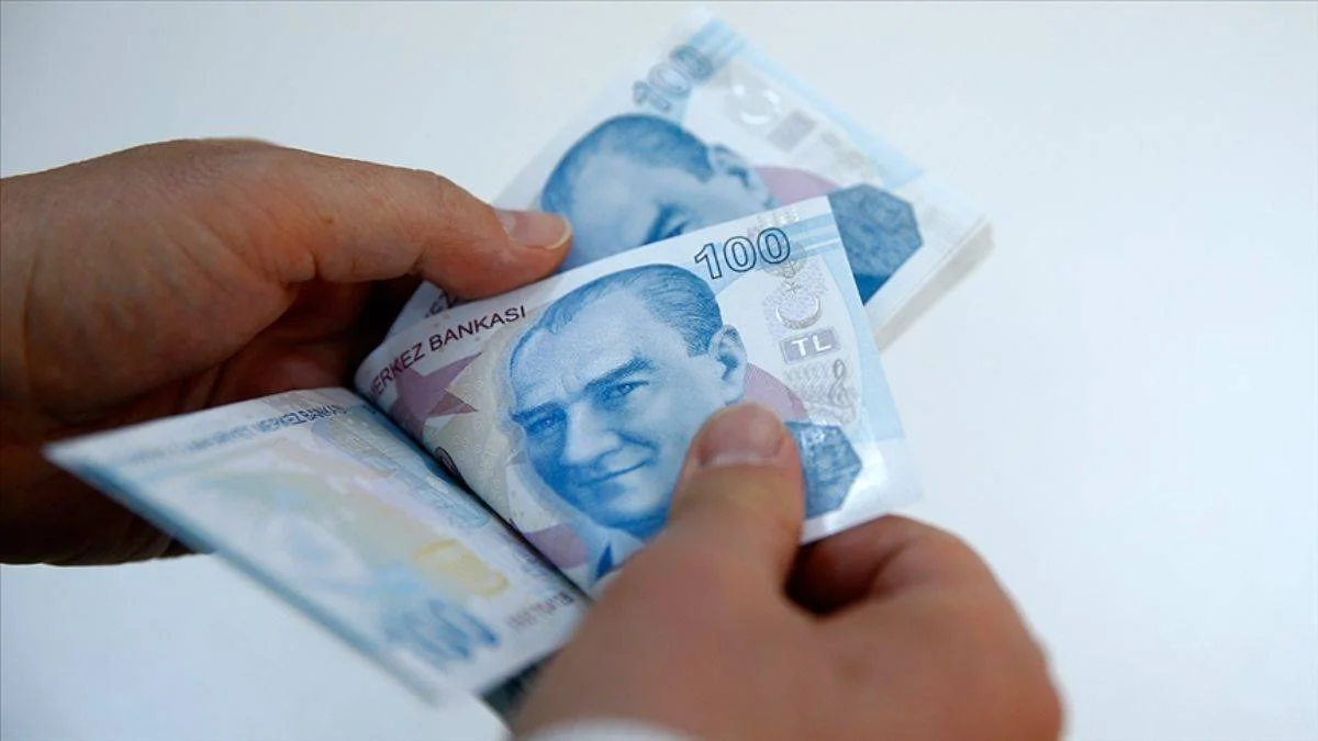 Merkez Bankası'ndan 'nakit para' araştırması