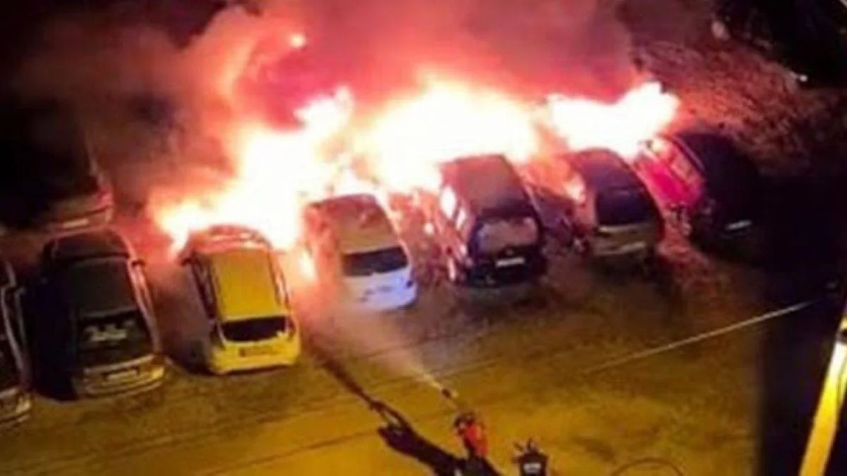 Mersin'deki yangında 12 araç kül oldu