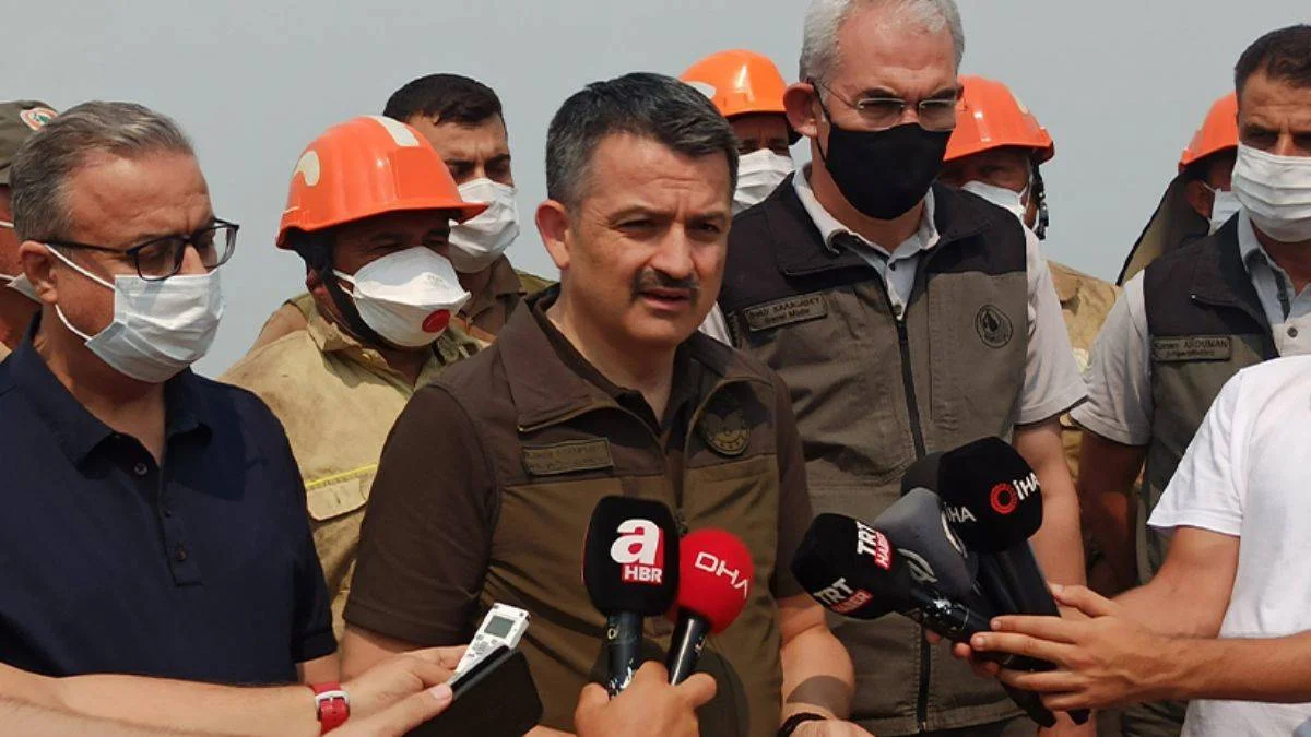 Mersin ve Hatay'daki yangınlar kontrol altına alındı