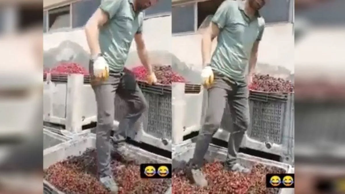 Meyve suyu tesisinde ayakkabıyla vişne çiğnendiği görüntülendi!