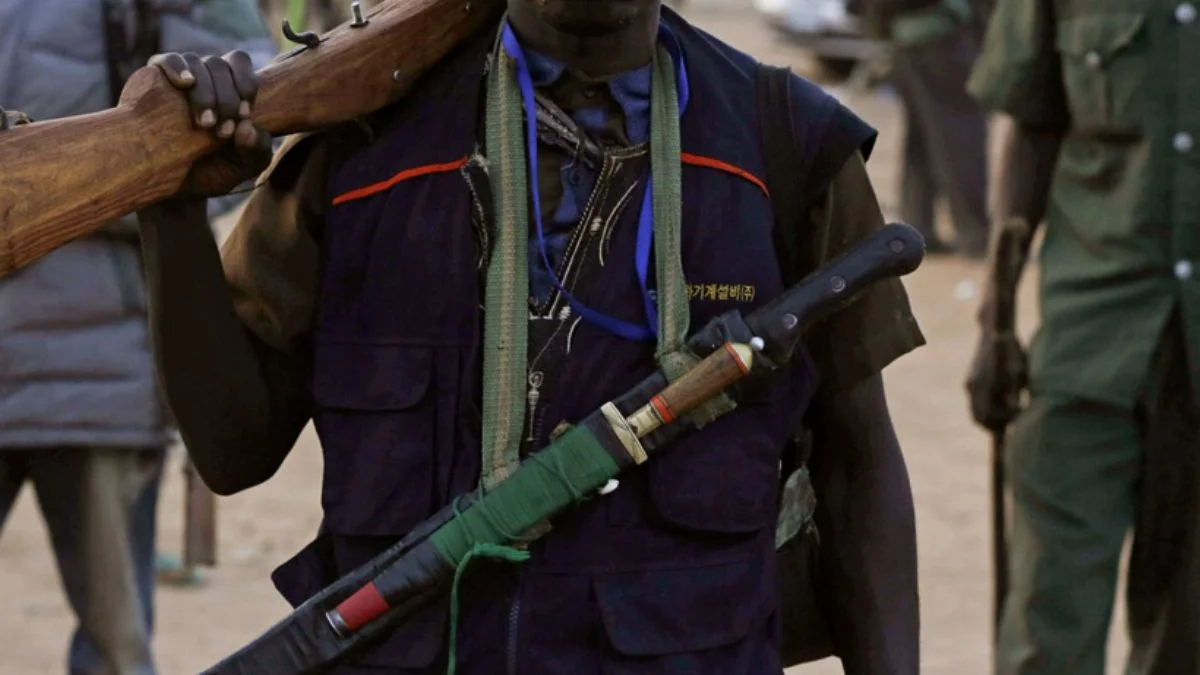 Nijerya'da ''Boko Haram'' operasyonu: 37 örgüt mensubu etkisiz hale getirildi
