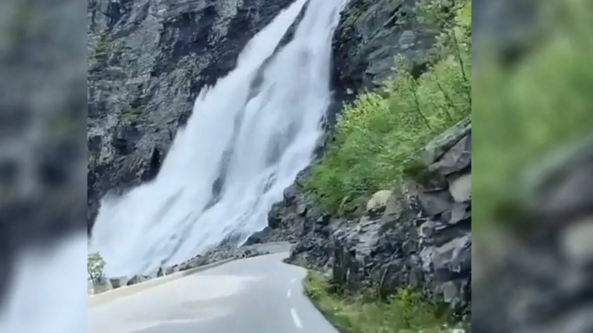Norveç'te büyülü bir yolculuk