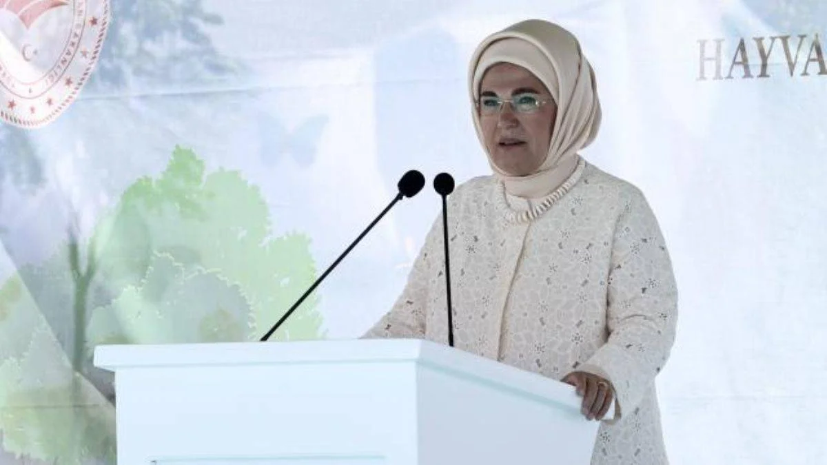 'Onların sessiz feryatlarını duymak boynumuzun borcudur'