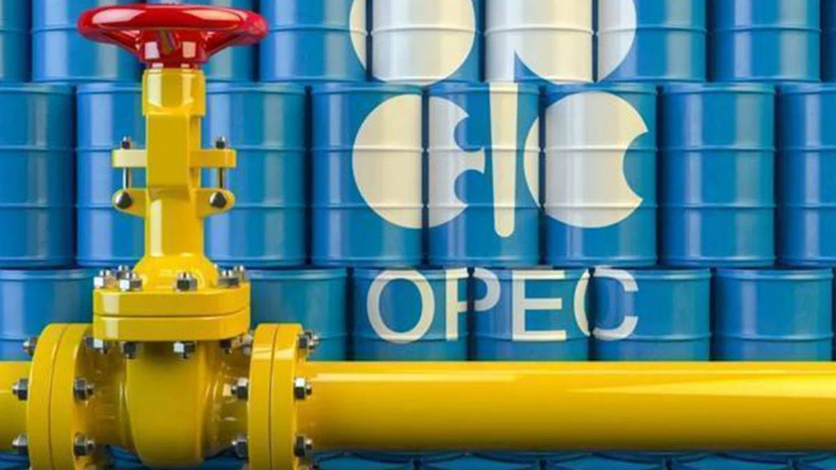 OPEC, BAE'nin başkaldırısıyla sarsıldı