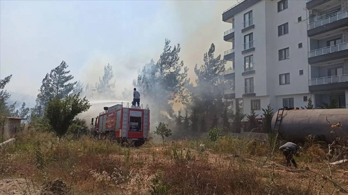 'Orman yangınıyla ilgili 4 zanlı gözaltına alındı'