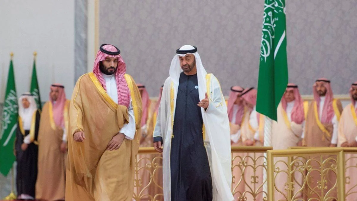 Prens Selman ile Prens Zayed'den işbirliği görüşmesi