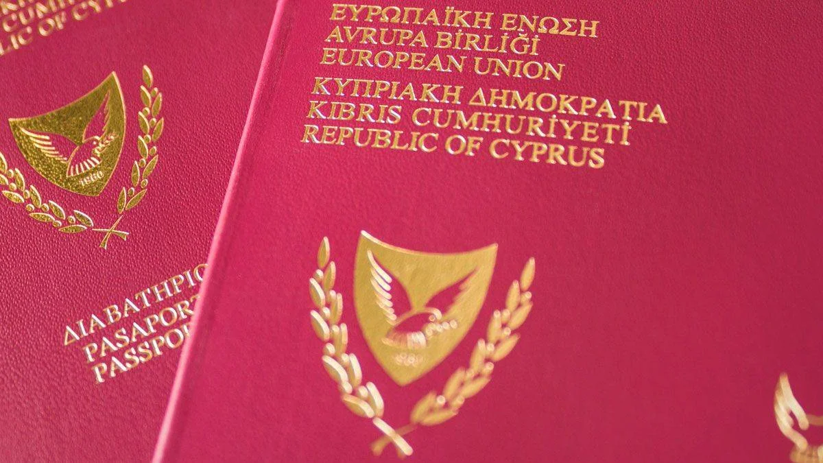 Prof. Dr. Atun: Kıbrıslı Türklerin pasaportu keşke iptal edilse...