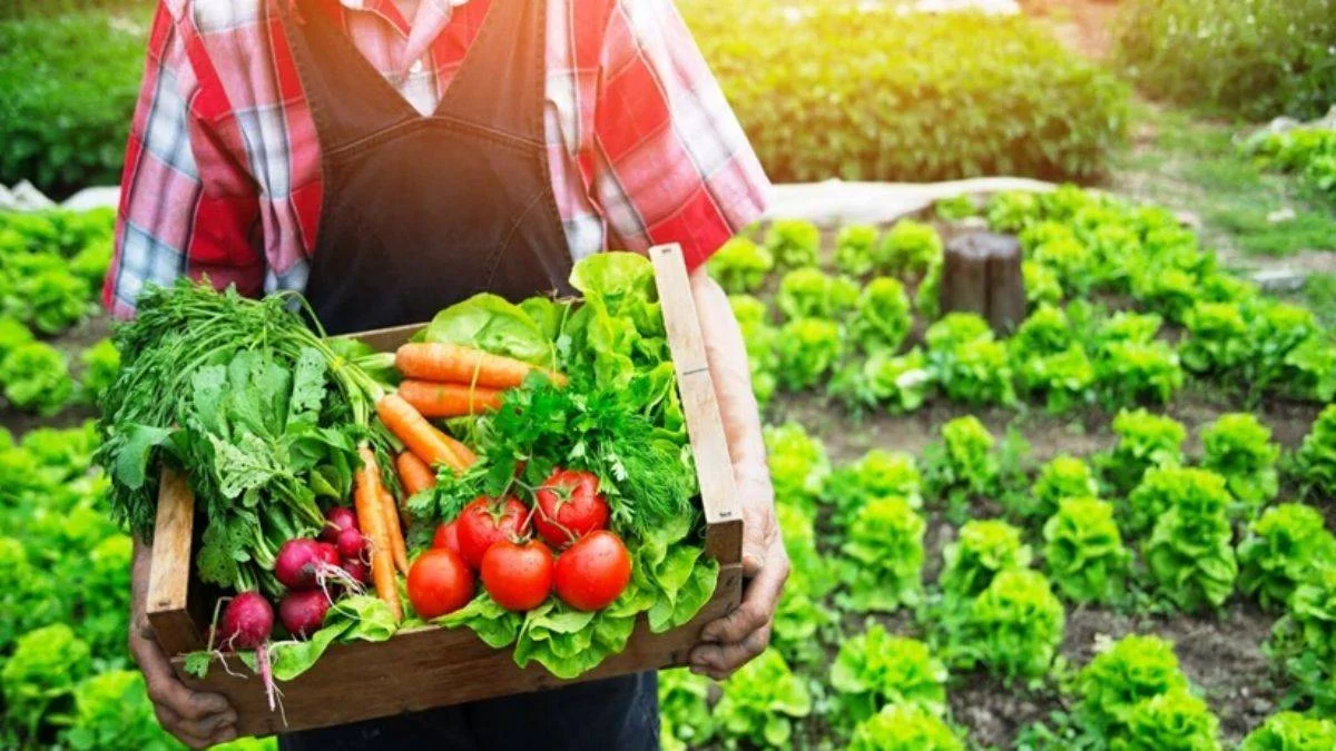 Salgına karşı çiftçinin korunması şart