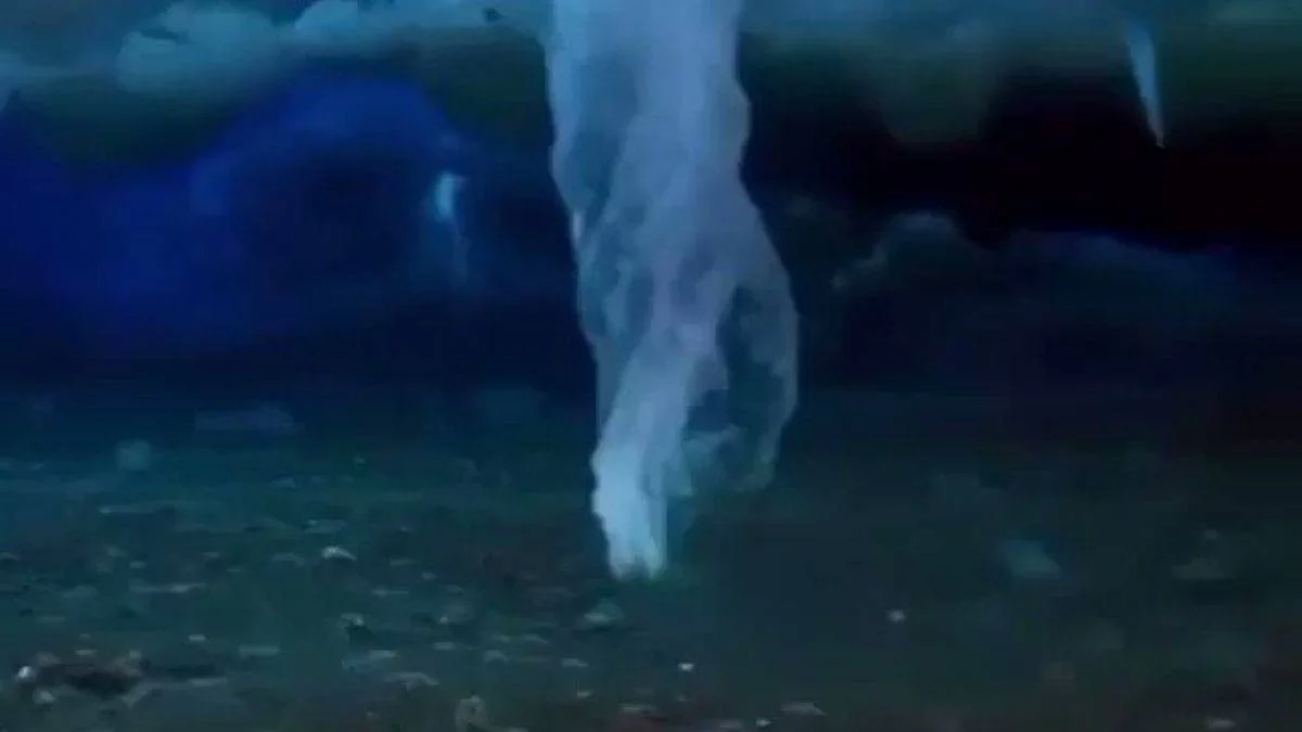 Sualtı buz saçağı önüne çıkan her şeyi donduruyor