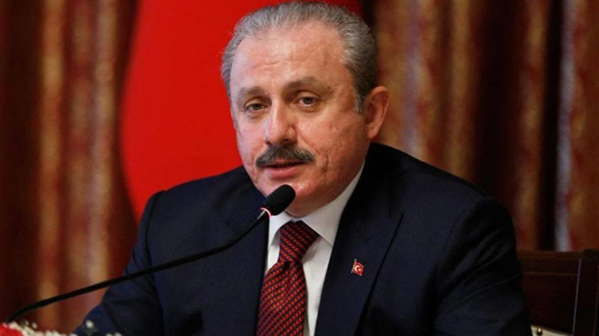 TBMM Başkanı Şentop: Cumhurbaşkanlığı Sisteminde bir sorun sıkıntı yok