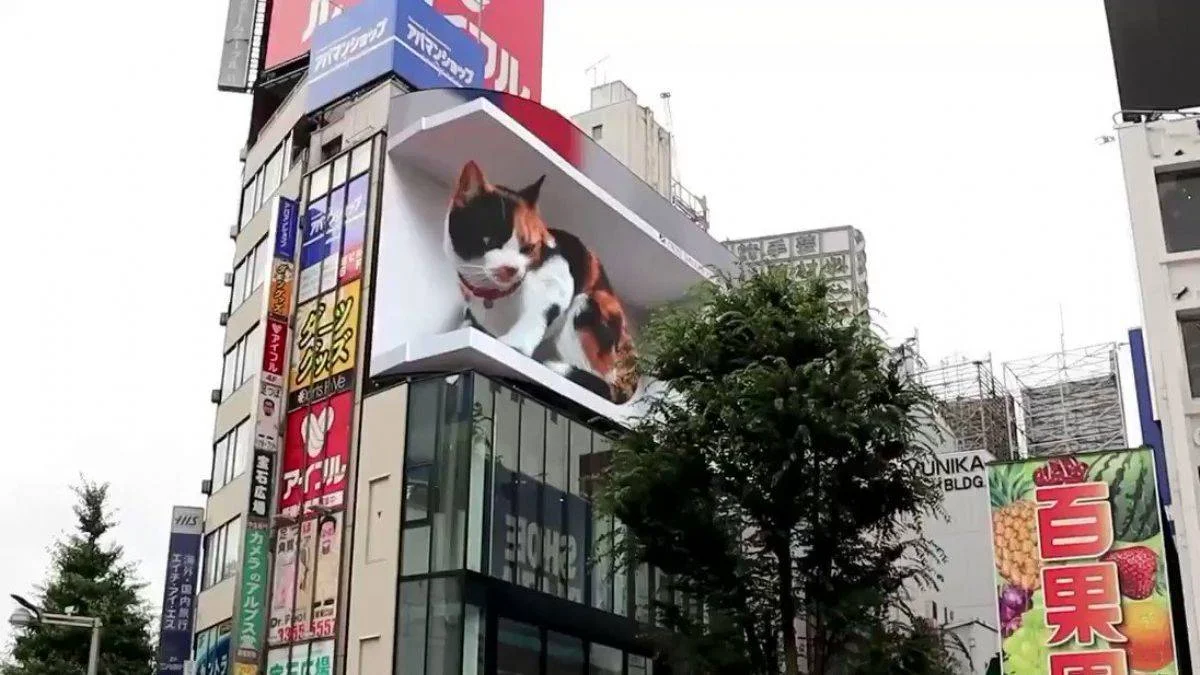 Tokyo'daki 3 boyutlu dev kedi gerçeğini aratmıyor