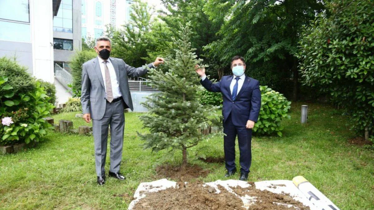 20 Bin Fidan ile Yarınlara Umut