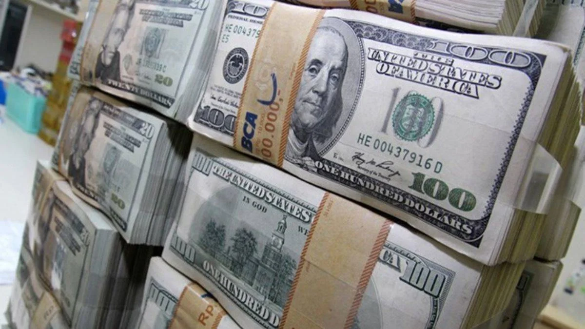 Analiz: IMF SDR alokasyonu ve döviz rezervleri