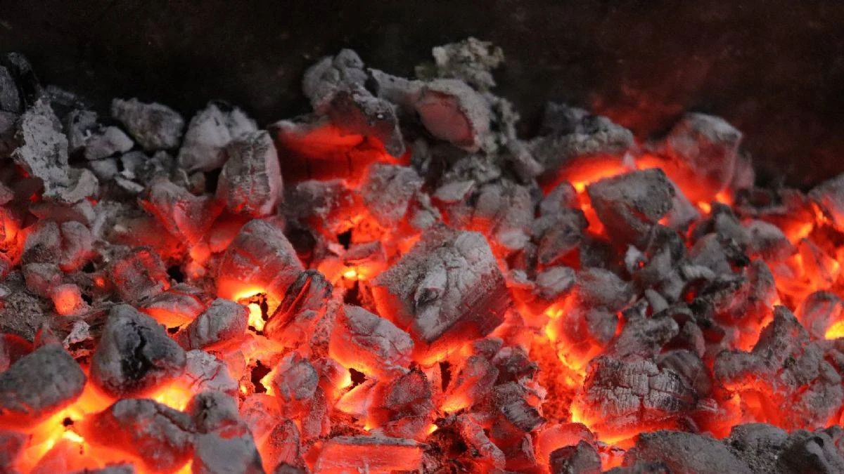 Avrupa'da artan doğalgaz fiyatları kömüre yaradı