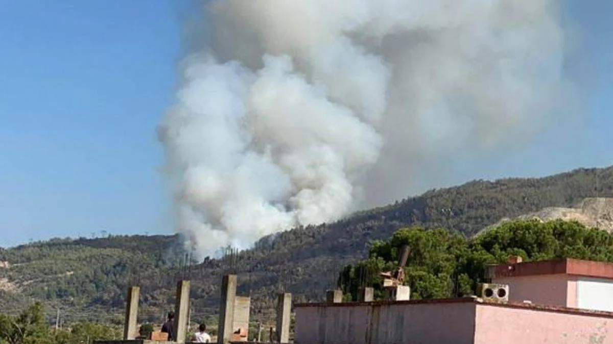 Aydın'da orman yangını