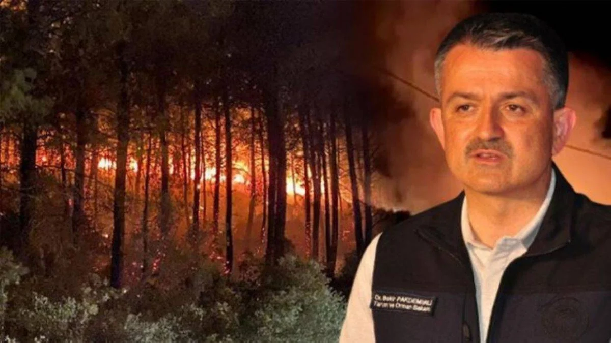 Bekir Pakdemirli: 38 ilde 163 yangın çıktı, 152 tanesi söndürüldü