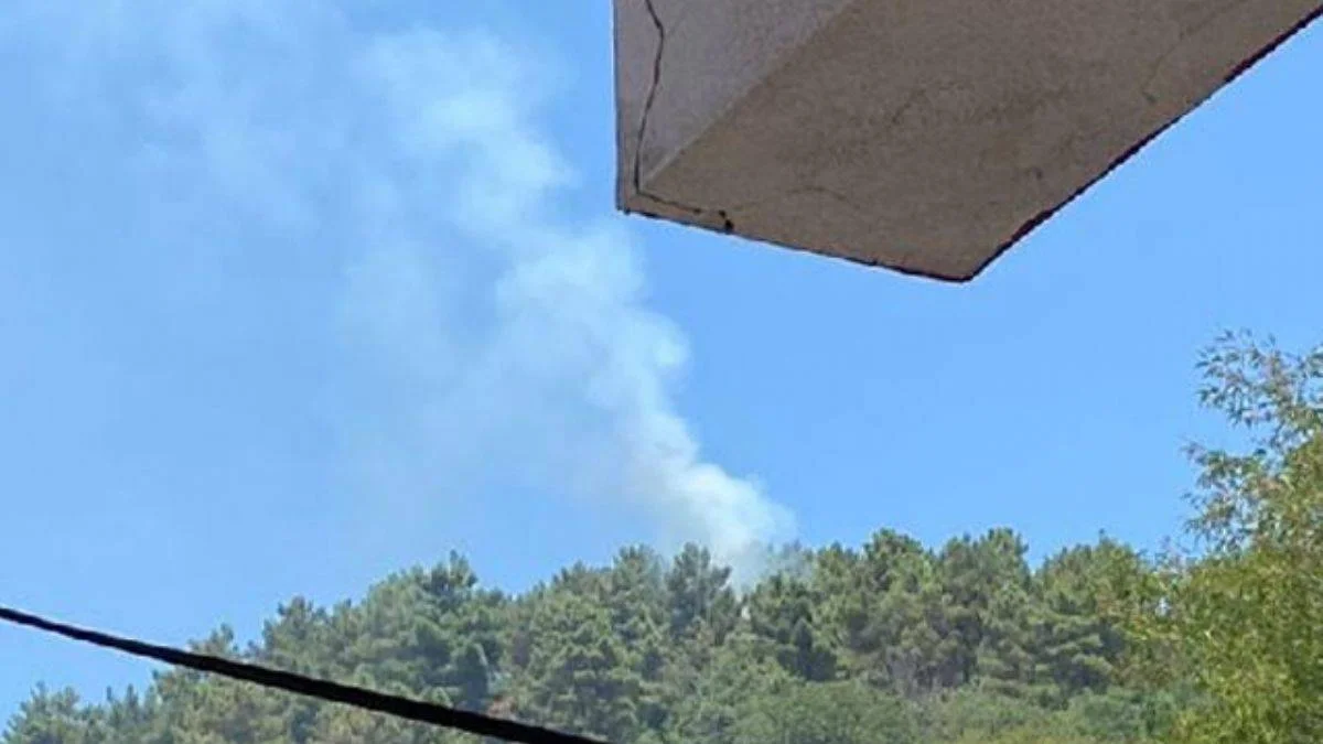 Beykoz'da orman yangını; 'Kaçarken gördük'