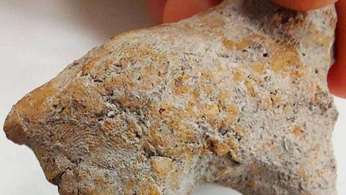 Bilecik'te bulunan hayvan figüründe 9 bin yıllık parmak izi