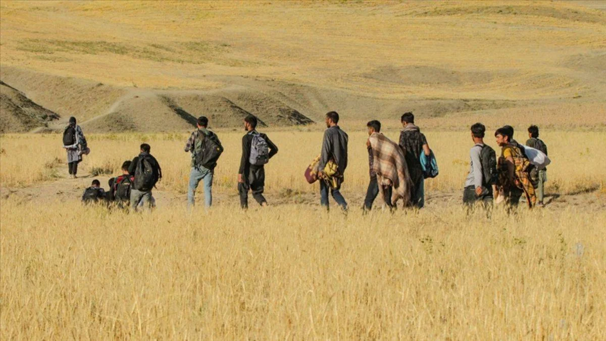 Dilipak: Türkiye'ye gelen Afgan sığınmacıların çoğu "ABD yanlısı görevliler"