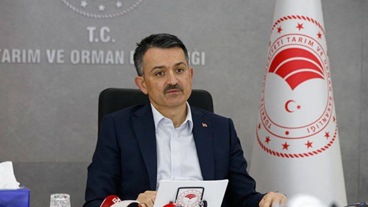 İzmir yangını kontrol altına alındı