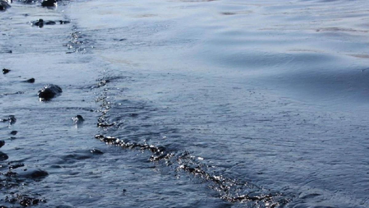 Karadeniz kıyısındaki petrol sızıntısı, açıklanandan 400 bin kat daha fazla