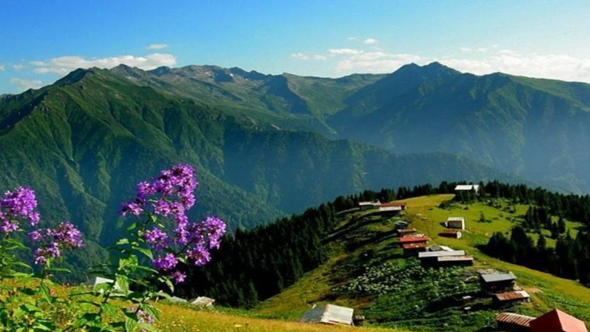Karadeniz yaylalarına akın akın